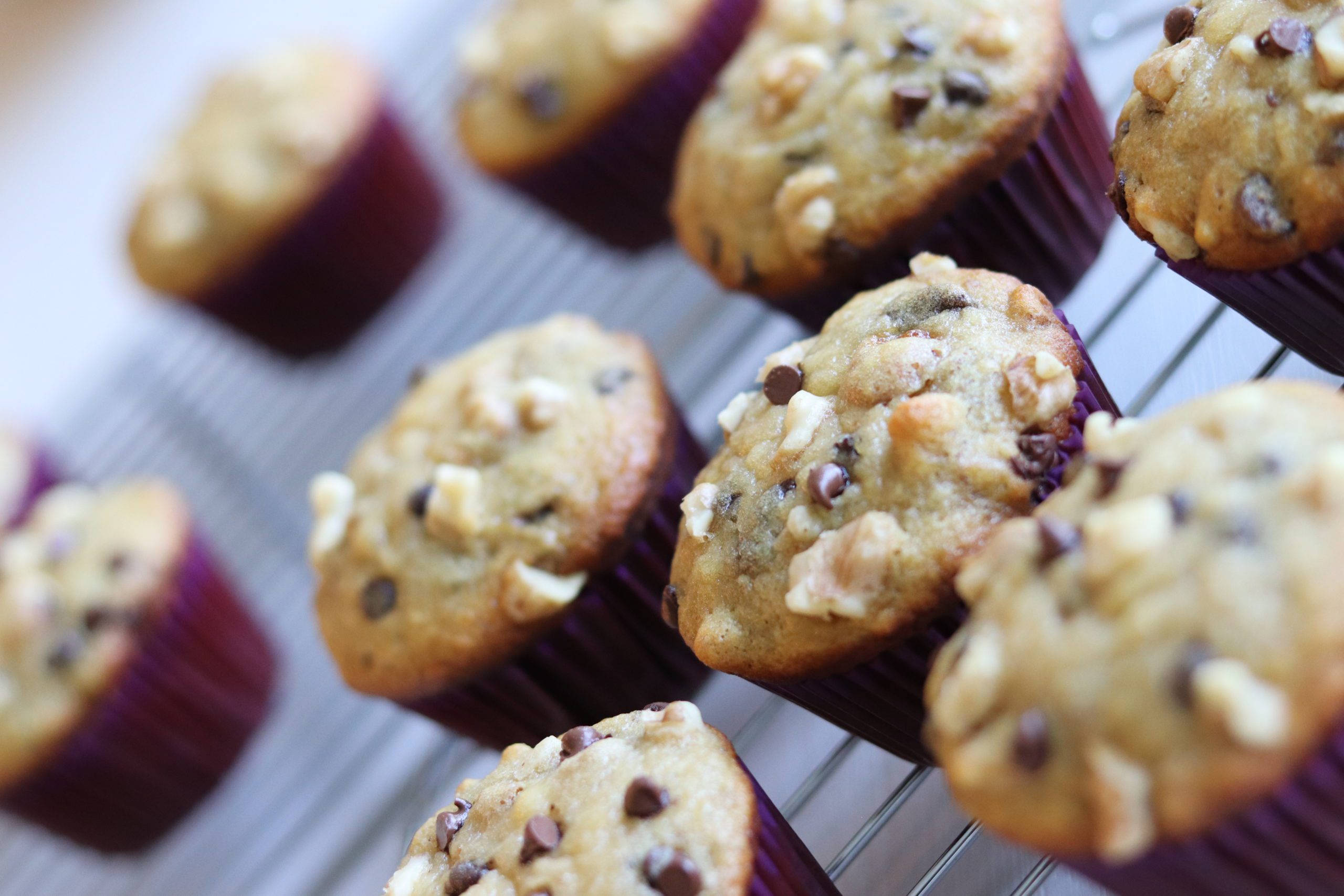 Chocolate chip banana nut muffins!