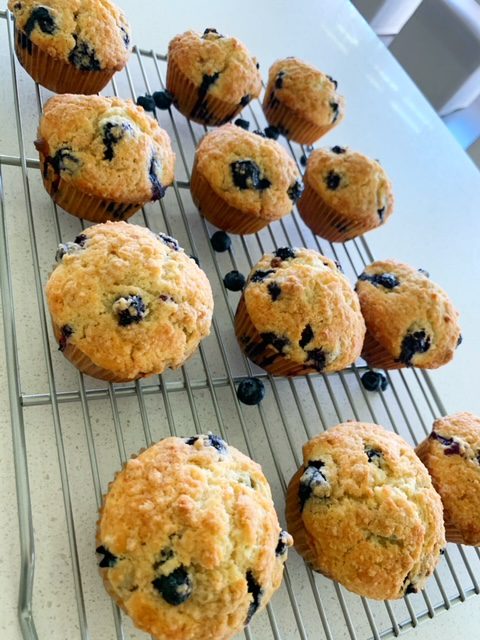 Blueberry Muffins